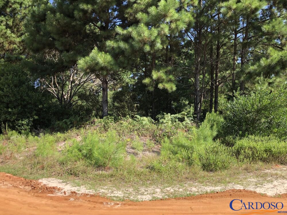 Terreno, 297 m² - Foto 1