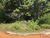 Terreno, 297 m² - Foto 1