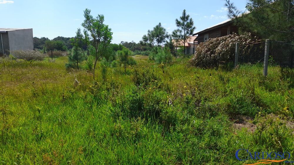Terreno, 290 m² - Foto 1