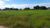 Terreno, 300 m² - Foto 3