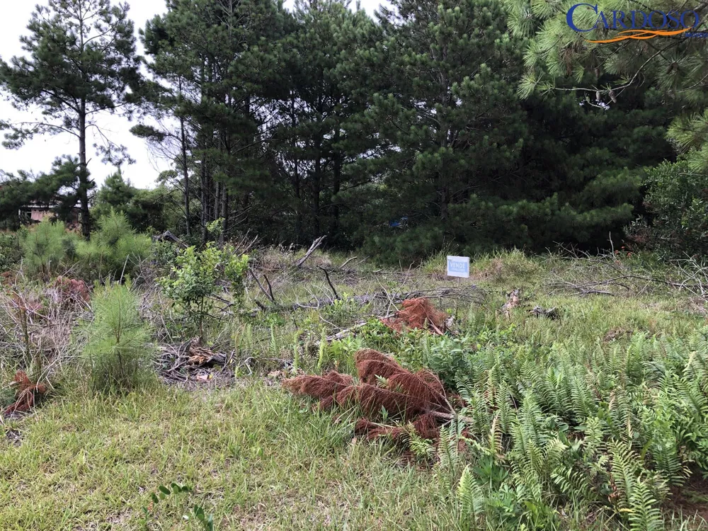 Terreno à venda, 300m² - Foto 1