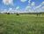 Terreno, 338 m² - Foto 5