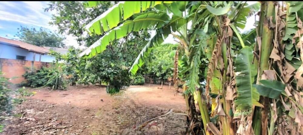 Terreno, 750 m² - Foto 3