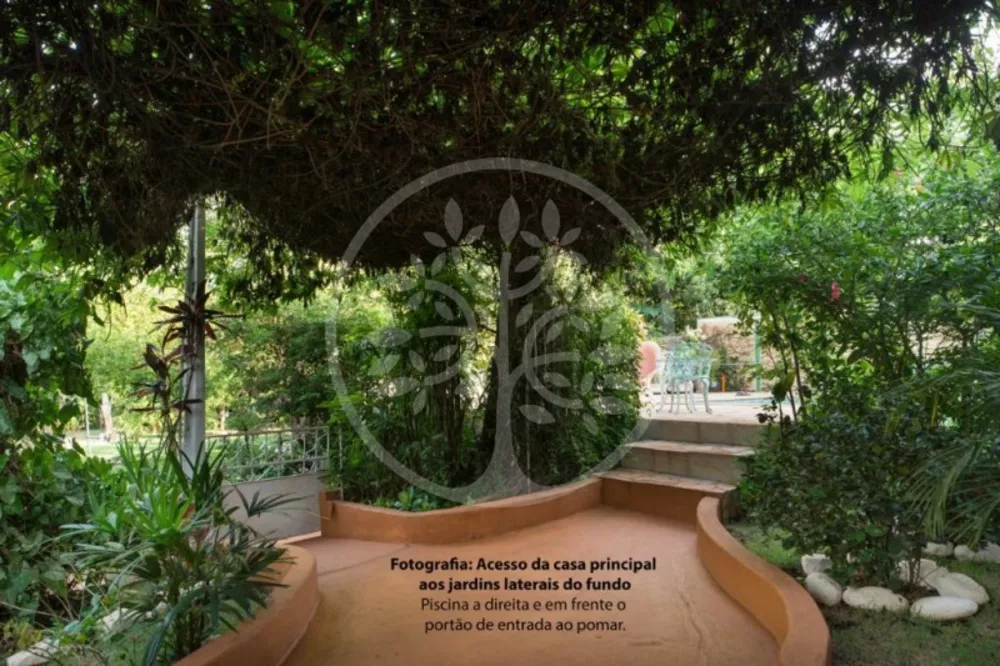 Chácara, 5 quartos, 2400 m² - Foto 11