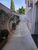 Sala-Conjunto, 27 m² - Foto 4