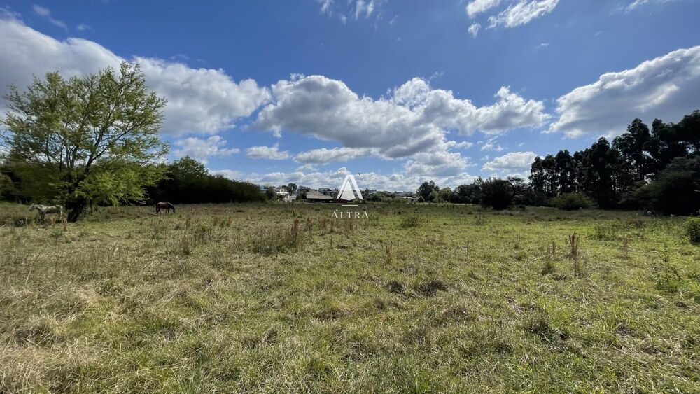 Terreno, 5 hectares - Foto 2