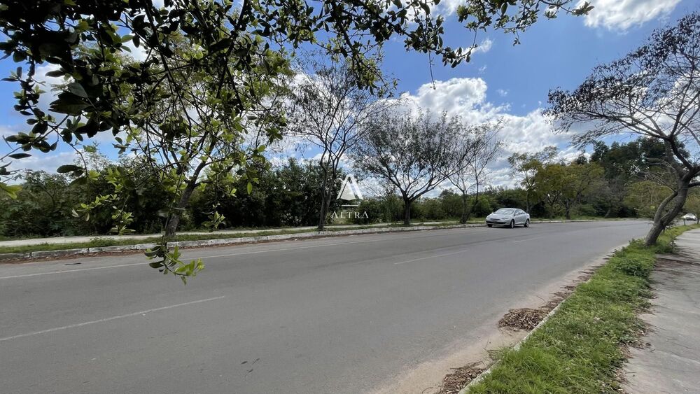 Terreno, 5 hectares - Foto 1