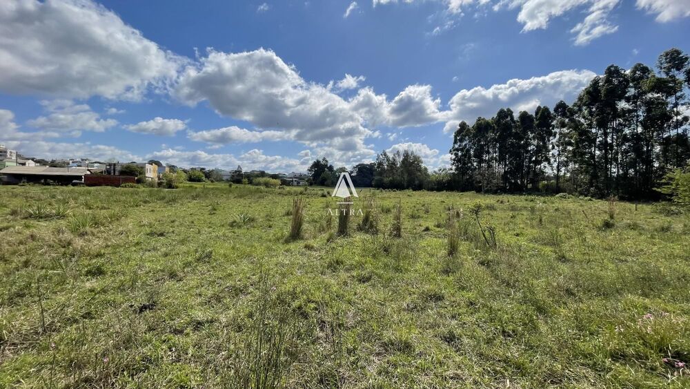 Terreno, 5 hectares - Foto 4