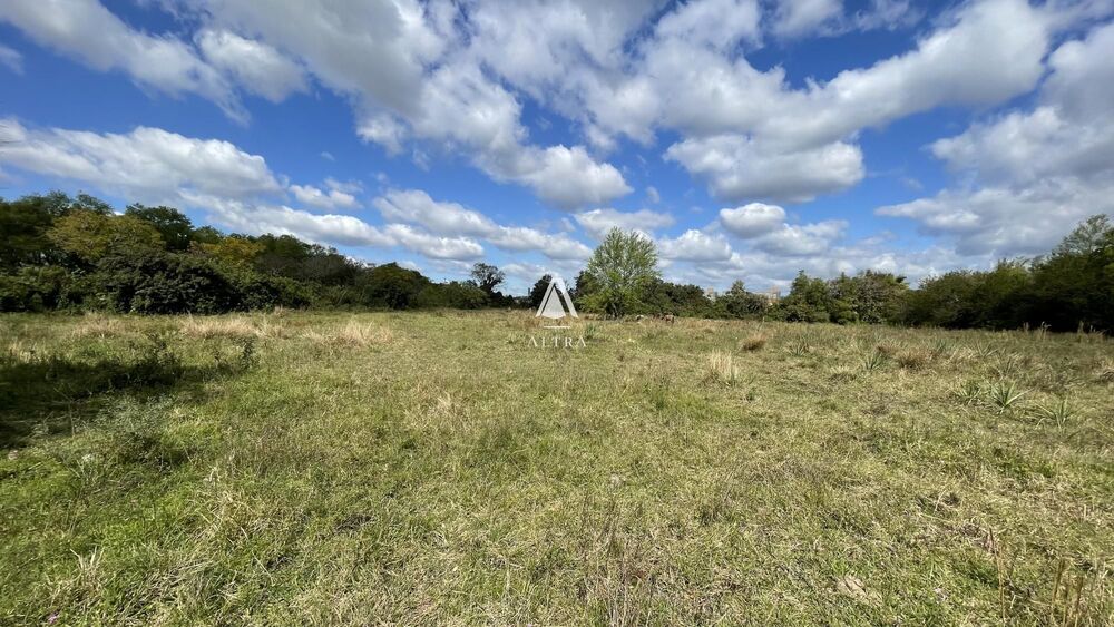 Terreno, 5 hectares - Foto 3