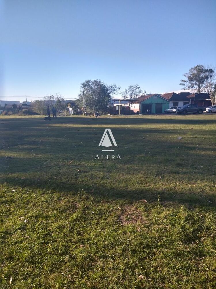 Terreno, 8000 m² - Foto 2