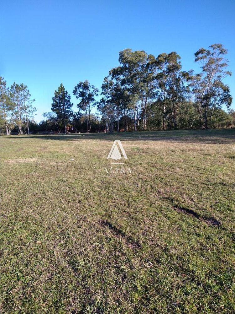 Terreno, 8000 m² - Foto 3