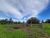 Terreno, 3000 m² - Foto 2