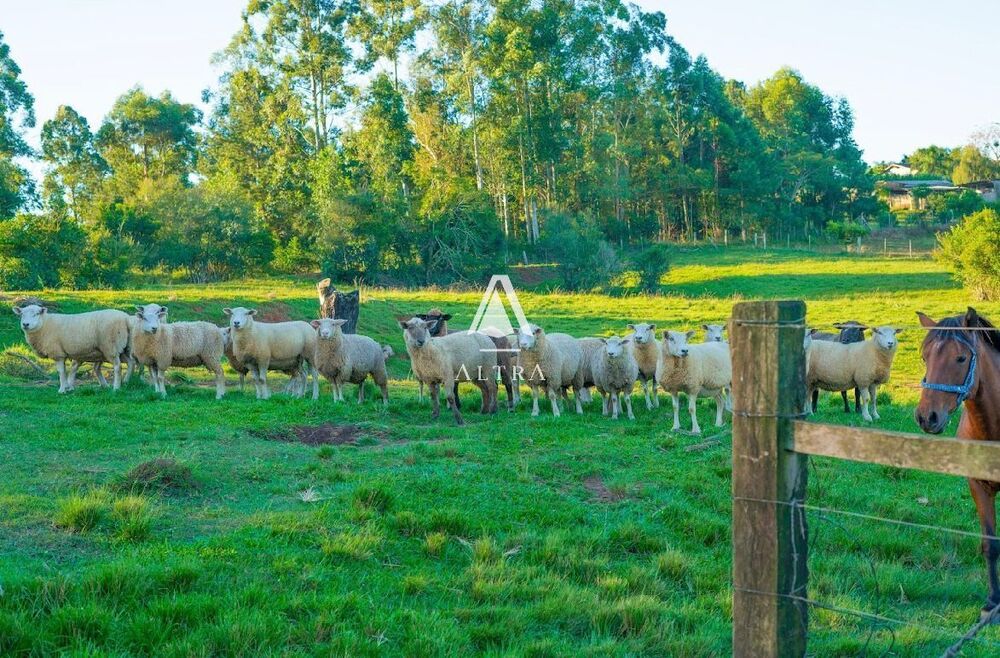 Chácara à venda com 3 quartos, 50000m² - Foto 3