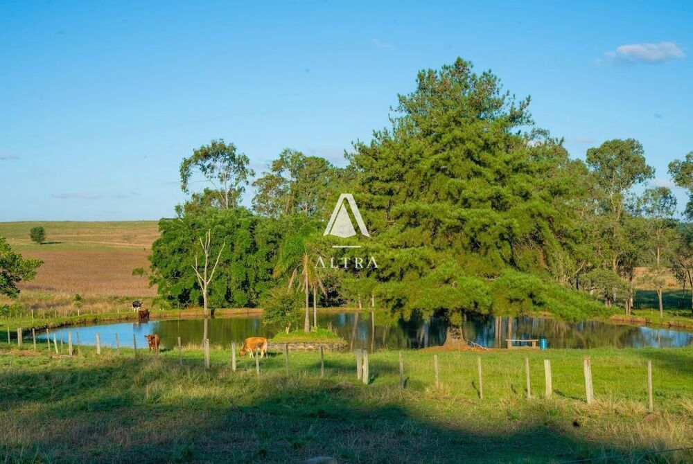 Chácara à venda com 3 quartos, 50000m² - Foto 2