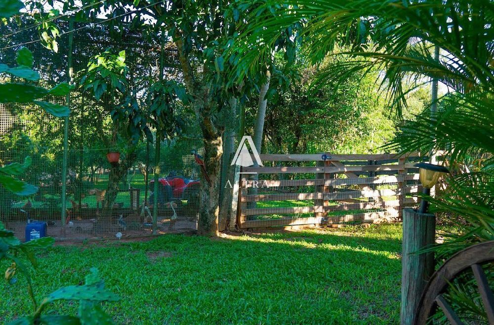 Chácara à venda com 3 quartos, 50000m² - Foto 4