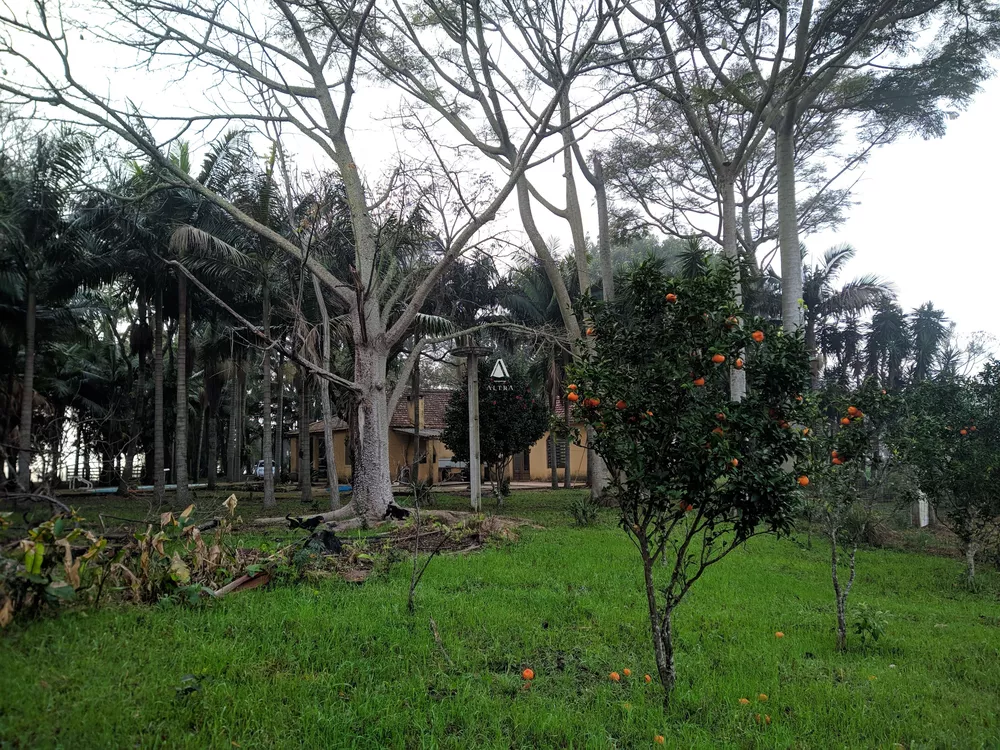 Chácara, 8 quartos, 29 hectares - Foto 4
