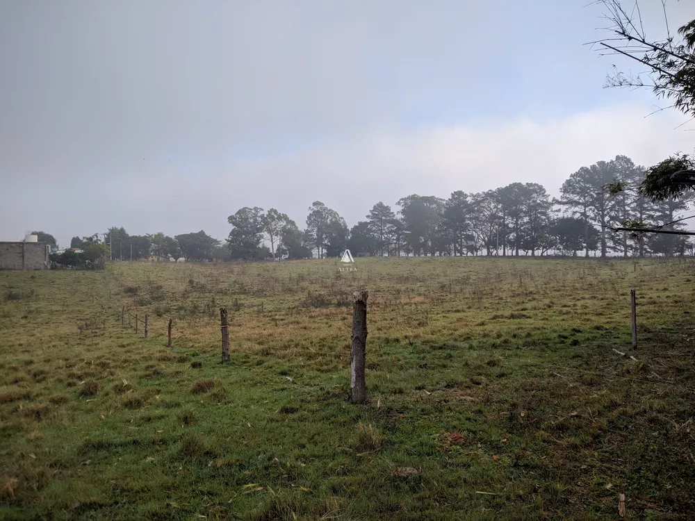 Chácara, 8 quartos, 29 hectares - Foto 7