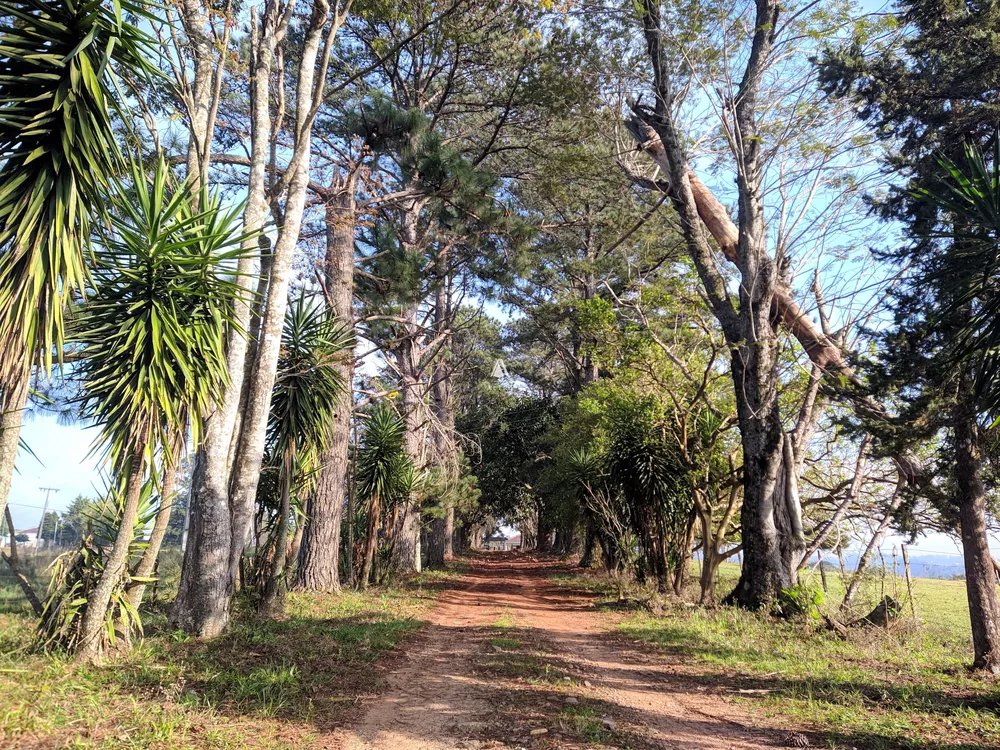 Chácara, 8 quartos, 29 hectares - Foto 1