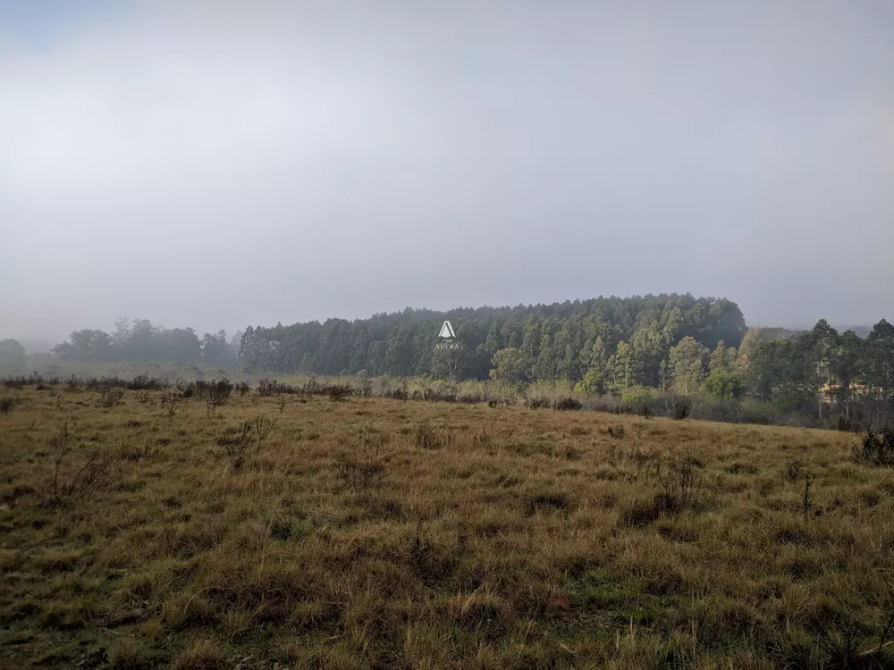 Chácara, 8 quartos, 29 hectares - Foto 3
