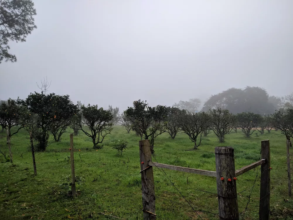Chácara, 8 quartos, 29 hectares - Foto 6