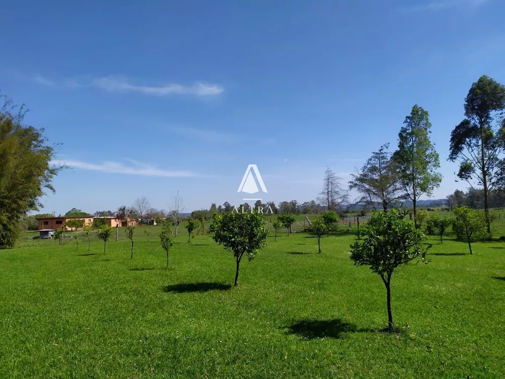 Chácara, 4 quartos, 2 hectares - Foto 7