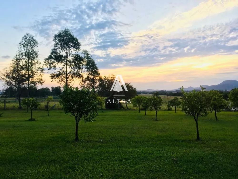 Chácara, 4 quartos, 2 hectares - Foto 4