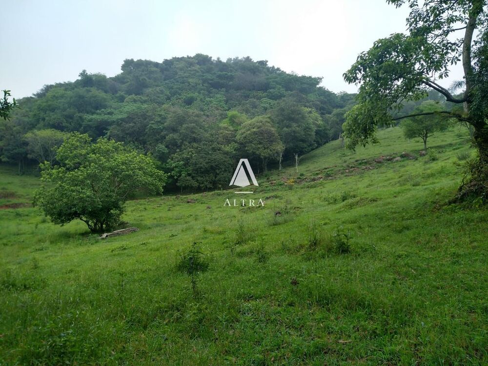 Chácara à venda com 3 quartos, 100000m² - Foto 4