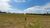 Terreno, 600 m² - Foto 6