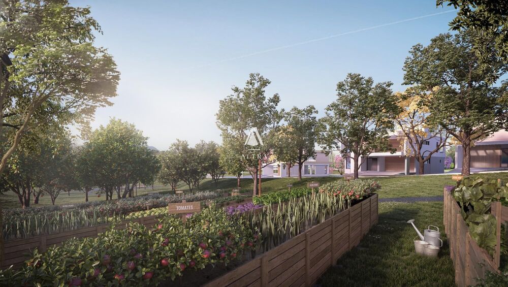 Terreno, 300 m² - Foto 14