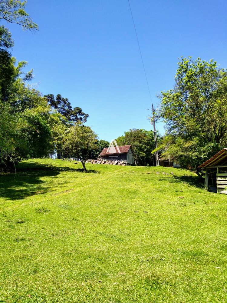 Sítio, 3 quartos, 24 hectares - Foto 9