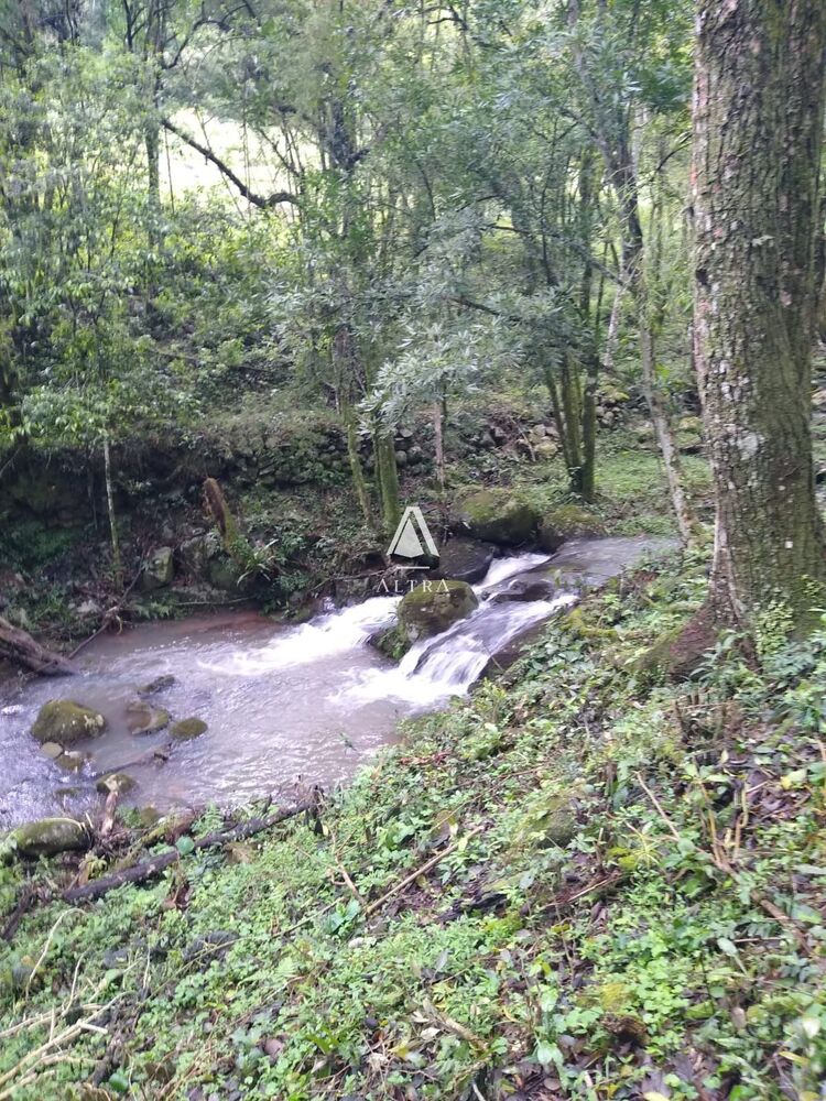 Sítio, 3 quartos, 24 hectares - Foto 7