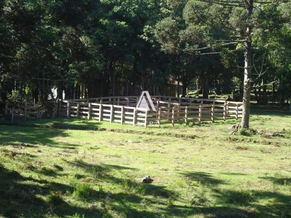 Sítio, 3 quartos, 24 hectares - Foto 3