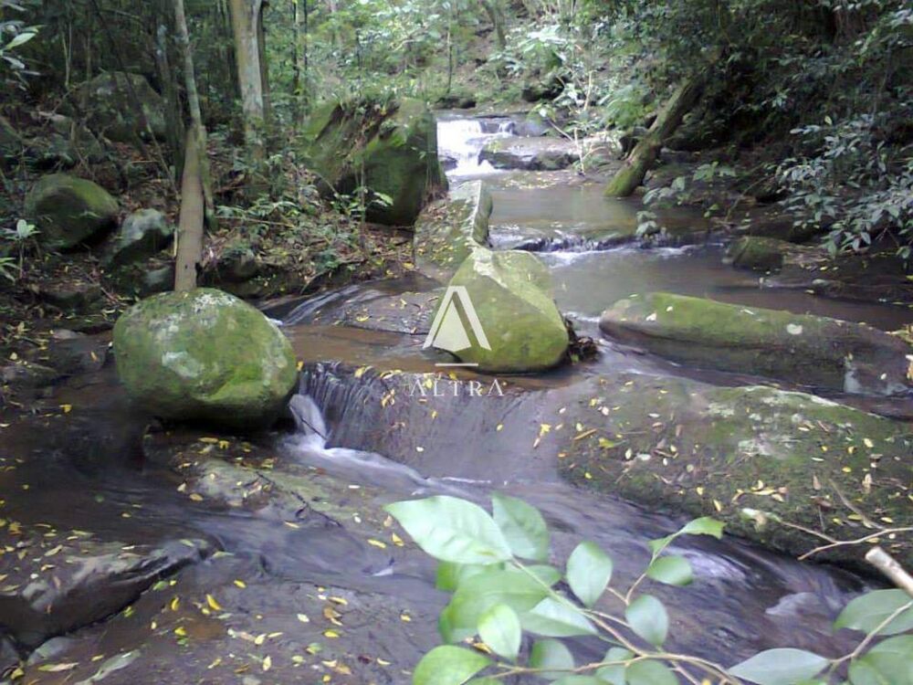 Sítio, 3 quartos, 24 hectares - Foto 4