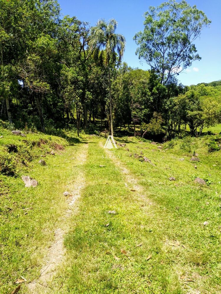 Sítio, 3 quartos, 24 hectares - Foto 2