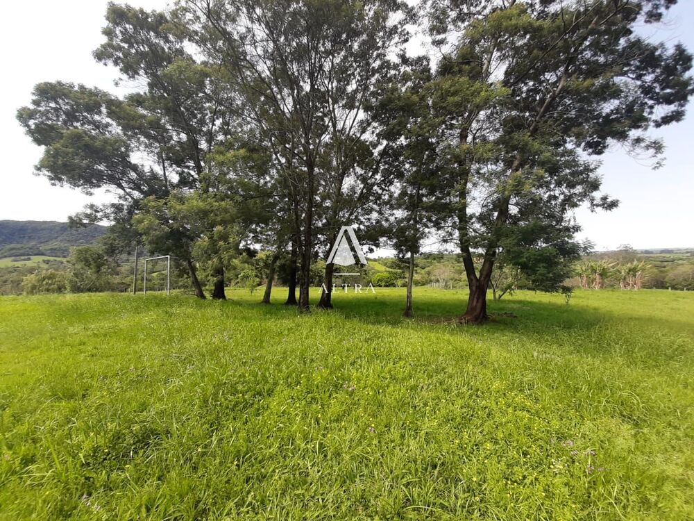 Chácara, 4 quartos, 2 hectares - Foto 3