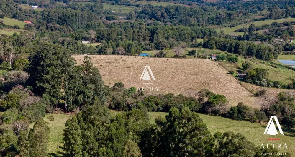 Fazenda à venda com 3 quartos, 239900m² - Foto 4