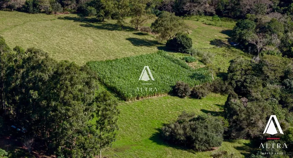 Fazenda à venda com 3 quartos, 239900m² - Foto 1