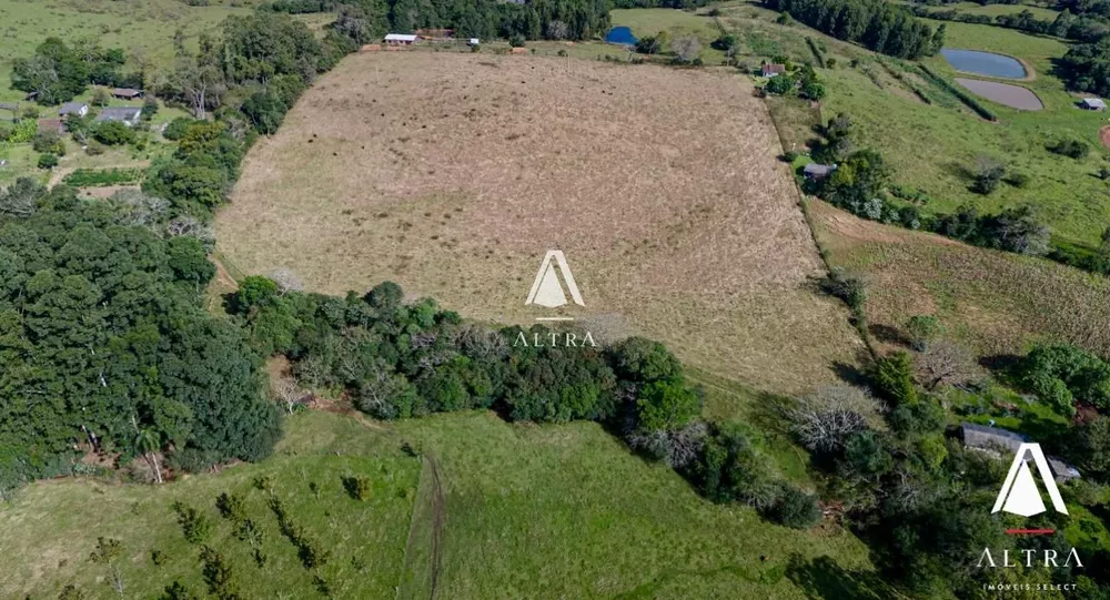 Fazenda à venda com 3 quartos, 239900m² - Foto 3