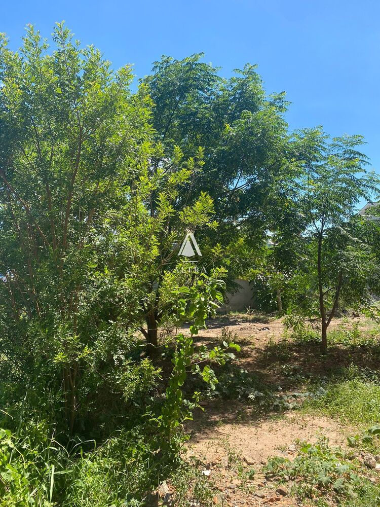 Casa, 3 quartos, 133 m² - Foto 17