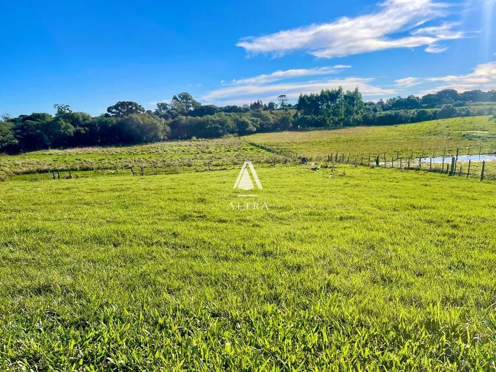 Chácara, 2 quartos, 5 hectares - Foto 3