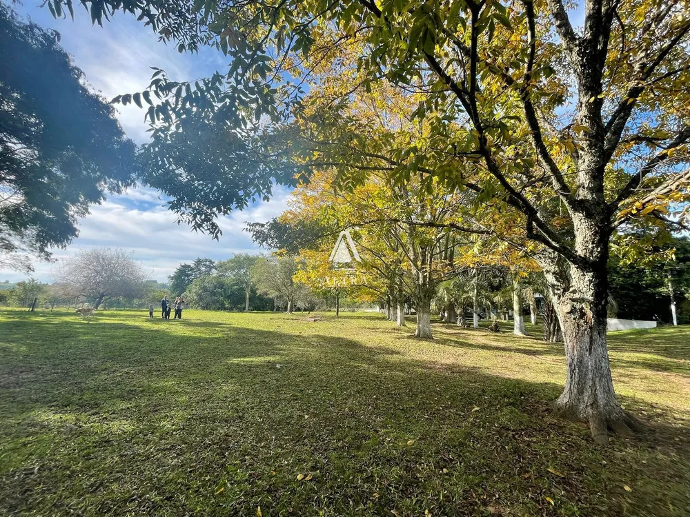 Sítio, 3 quartos, 15 hectares - Foto 4