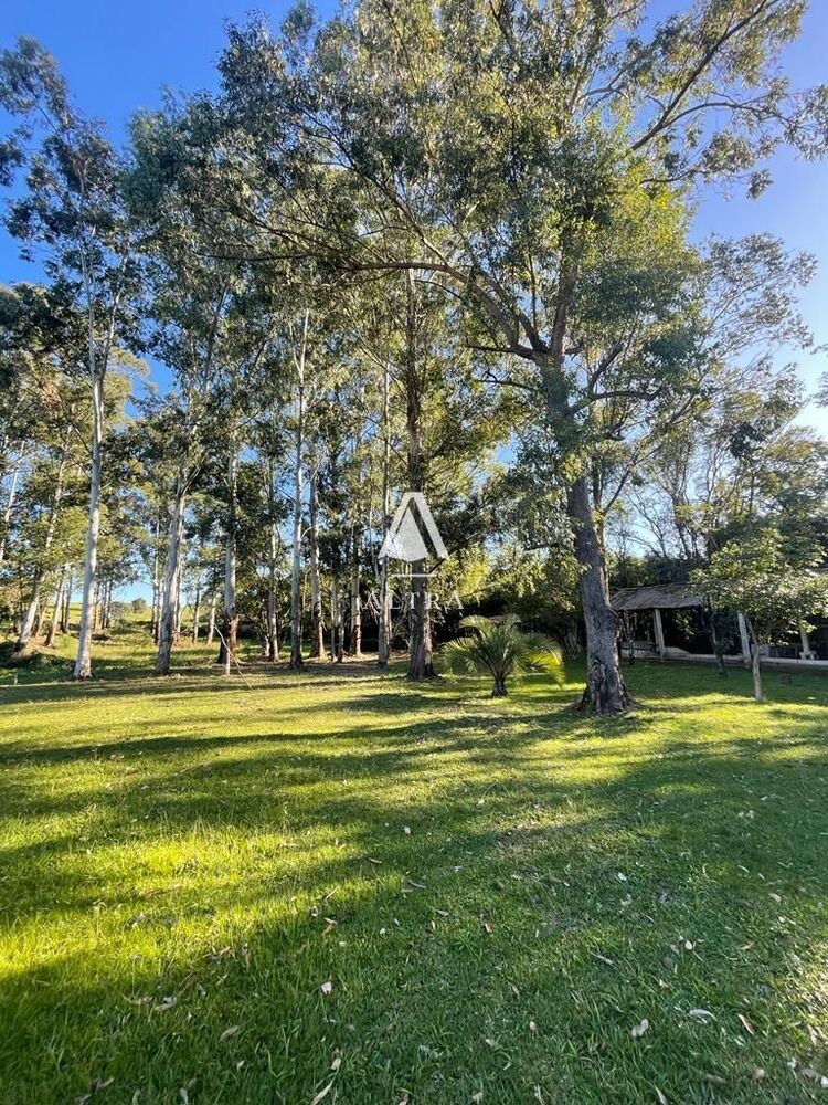 Chácara, 3 quartos, 2 hectares - Foto 10