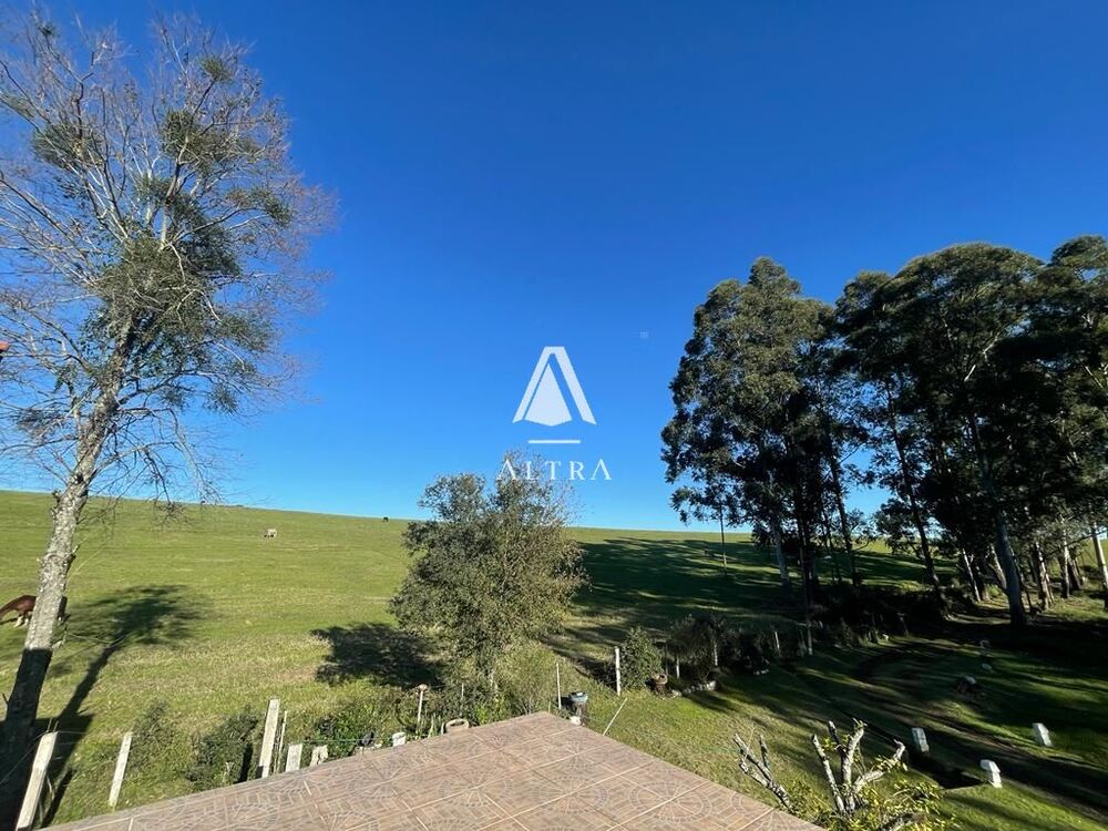 Chácara, 3 quartos, 2 hectares - Foto 6