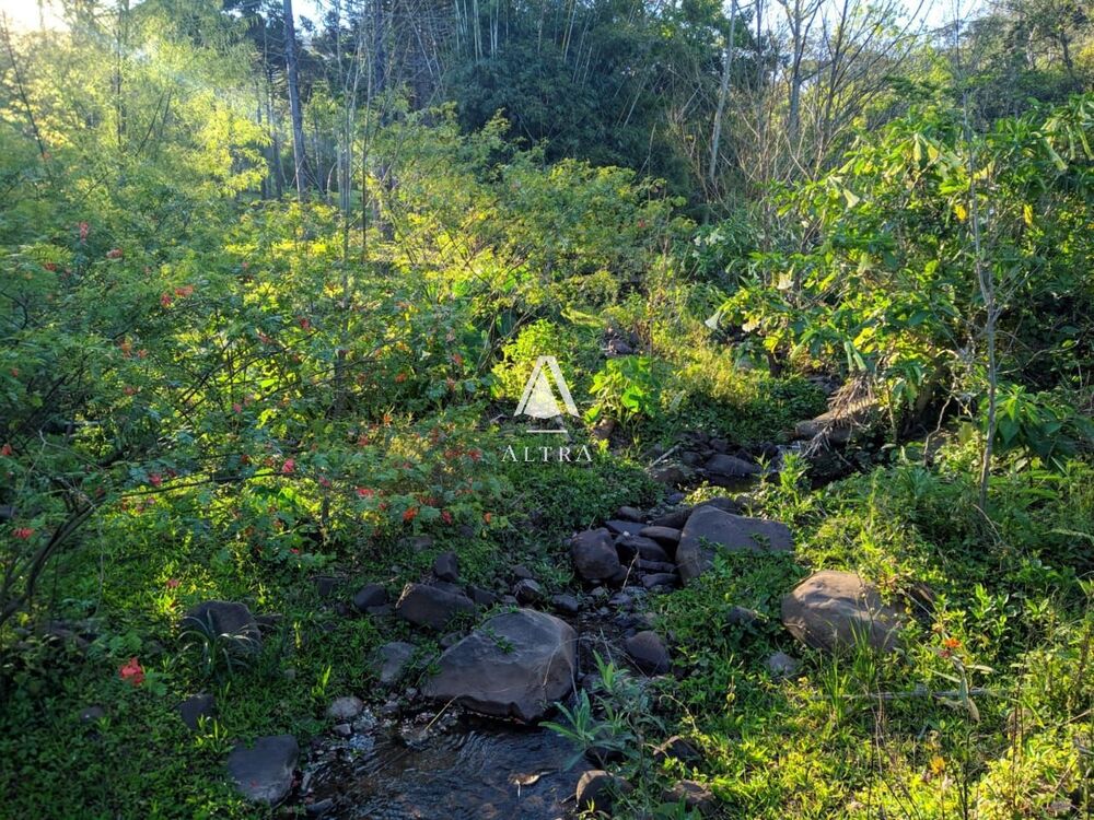 Chácara, 5 hectares - Foto 2