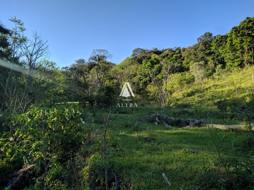 Chácara, 5 hectares - Foto 3