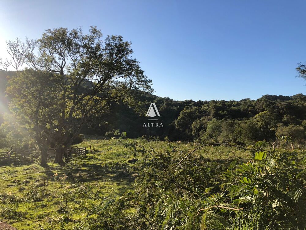 Loteamento e Condomínio à venda, 260000m² - Foto 1