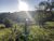 Loteamento e Condomínio, 26 hectares - Foto 3