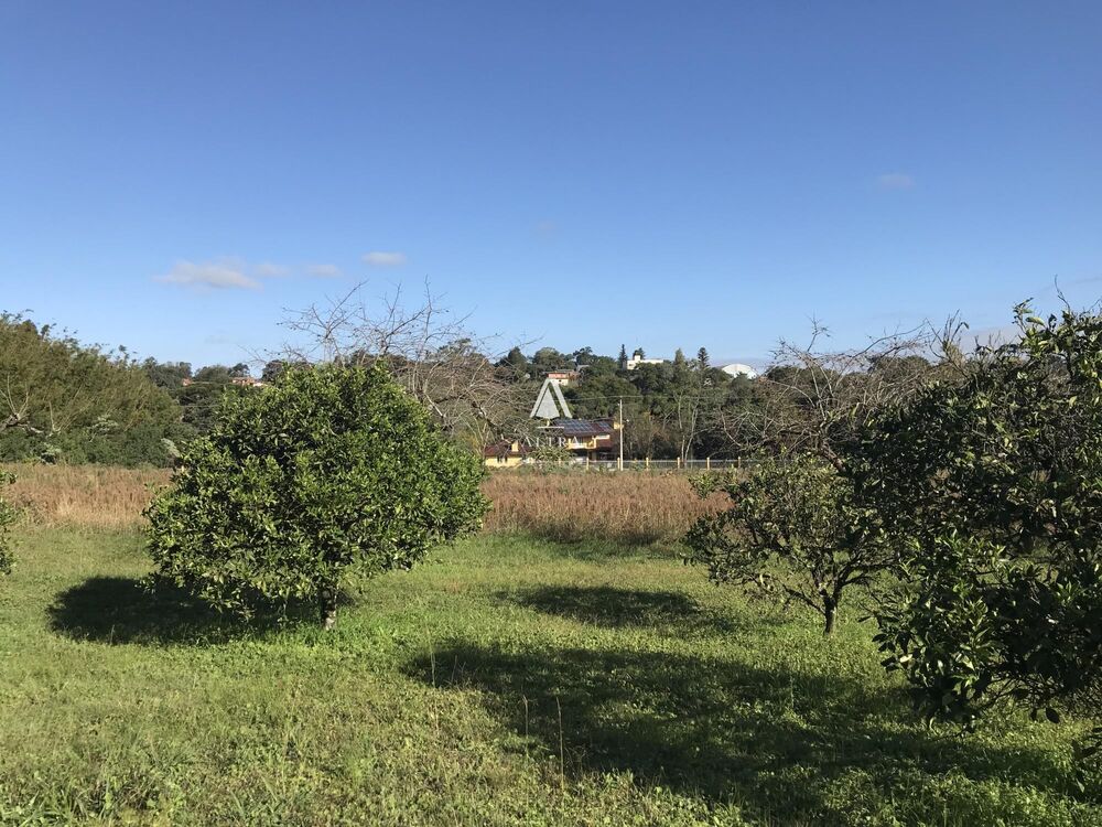 Chácara à venda com 3 quartos, 40000m² - Foto 4