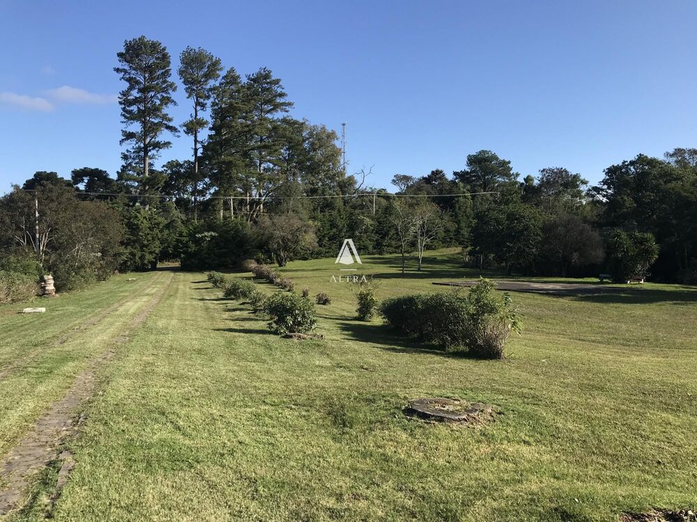 Chácara à venda com 3 quartos, 40000m² - Foto 6