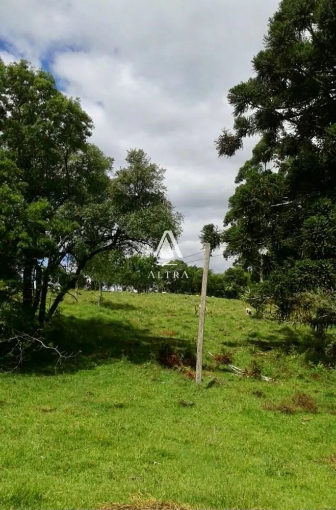 Terreno, 10500 hectares - Foto 3